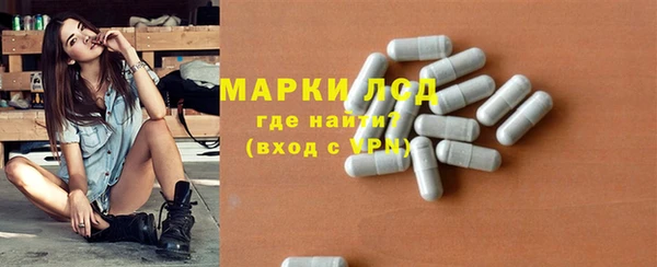 индика Медвежьегорск