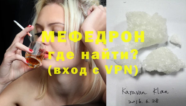 индика Медвежьегорск