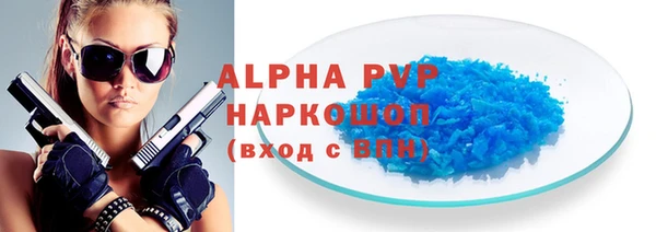 индика Медвежьегорск