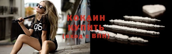индика Медвежьегорск