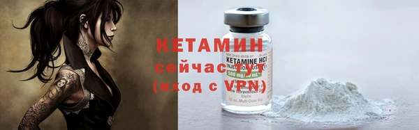 индика Медвежьегорск
