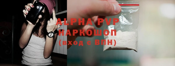 индика Медвежьегорск
