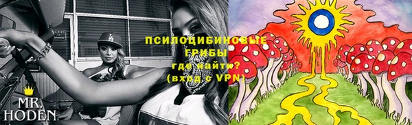 индика Медвежьегорск