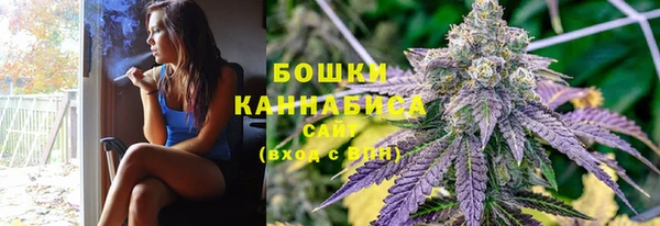 2c-b Мегион