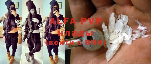 индика Медвежьегорск