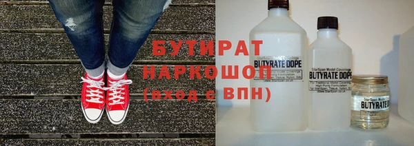 индика Медвежьегорск