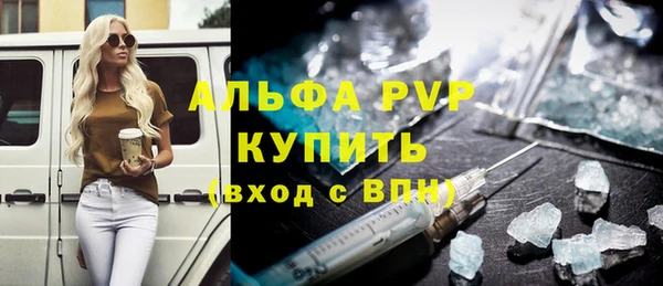 индика Медвежьегорск