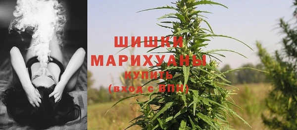 2c-b Мегион