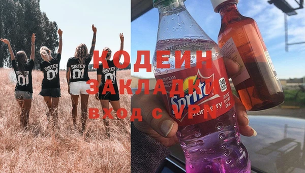 индика Медвежьегорск