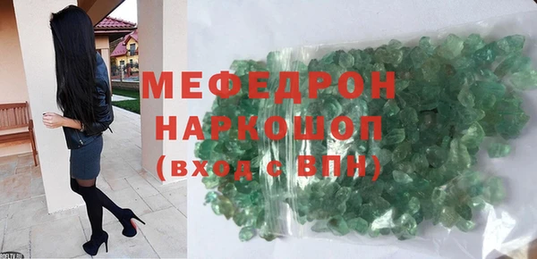 индика Медвежьегорск