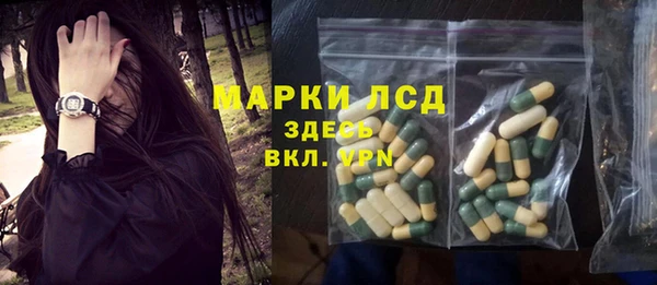 индика Медвежьегорск