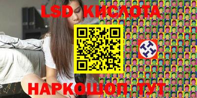 шишки Абакан
