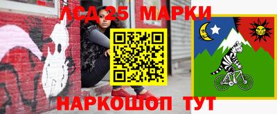 шишки Абакан