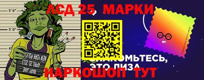 2c-b Гатчина