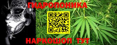 сатива Азнакаево