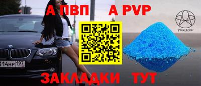 шишки Абакан