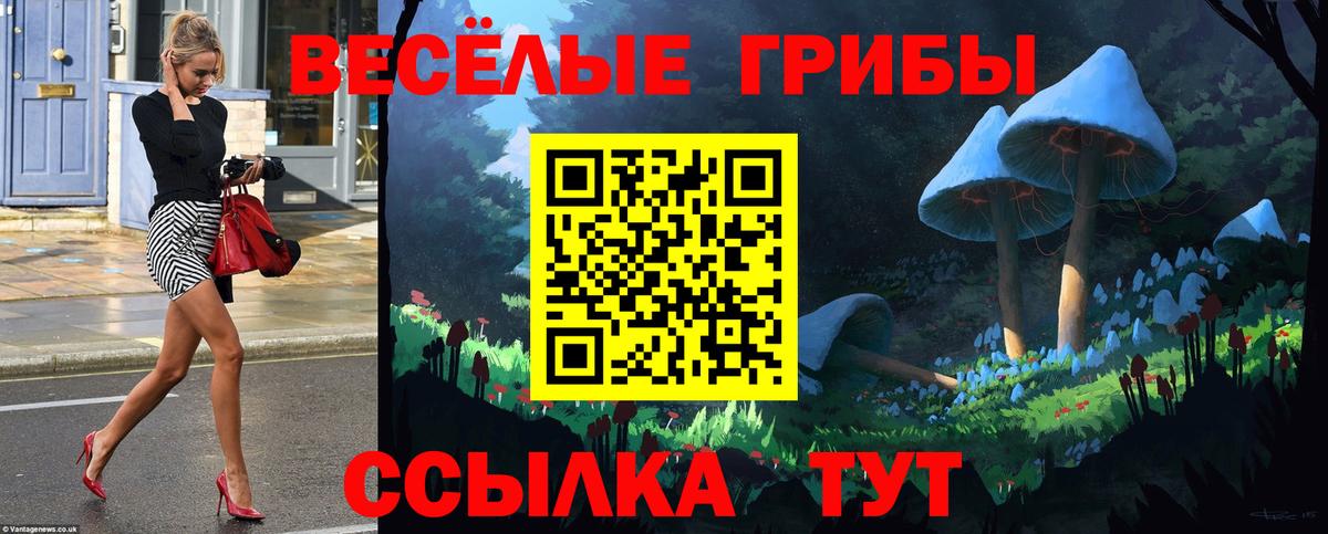 где купить наркоту  Десногорск  Псилоцибиновые грибы MAGIC MUSHROOMS 