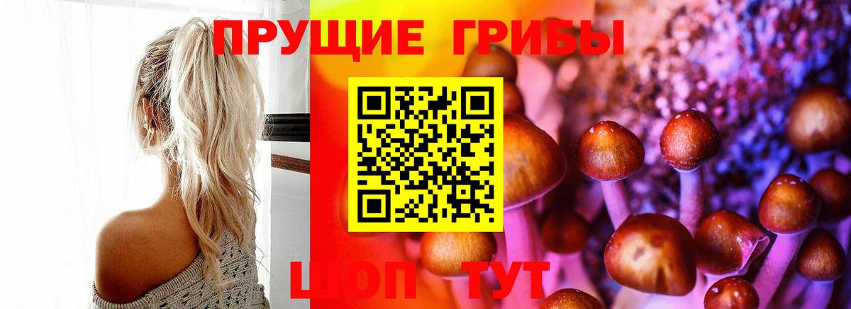 Псилоцибиновые грибы мицелий Десногорск